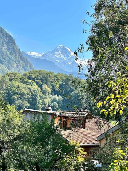 Chalet Heidi, 2 Schlafzimmer Grosser Garten 빌더스빌 외부 사진